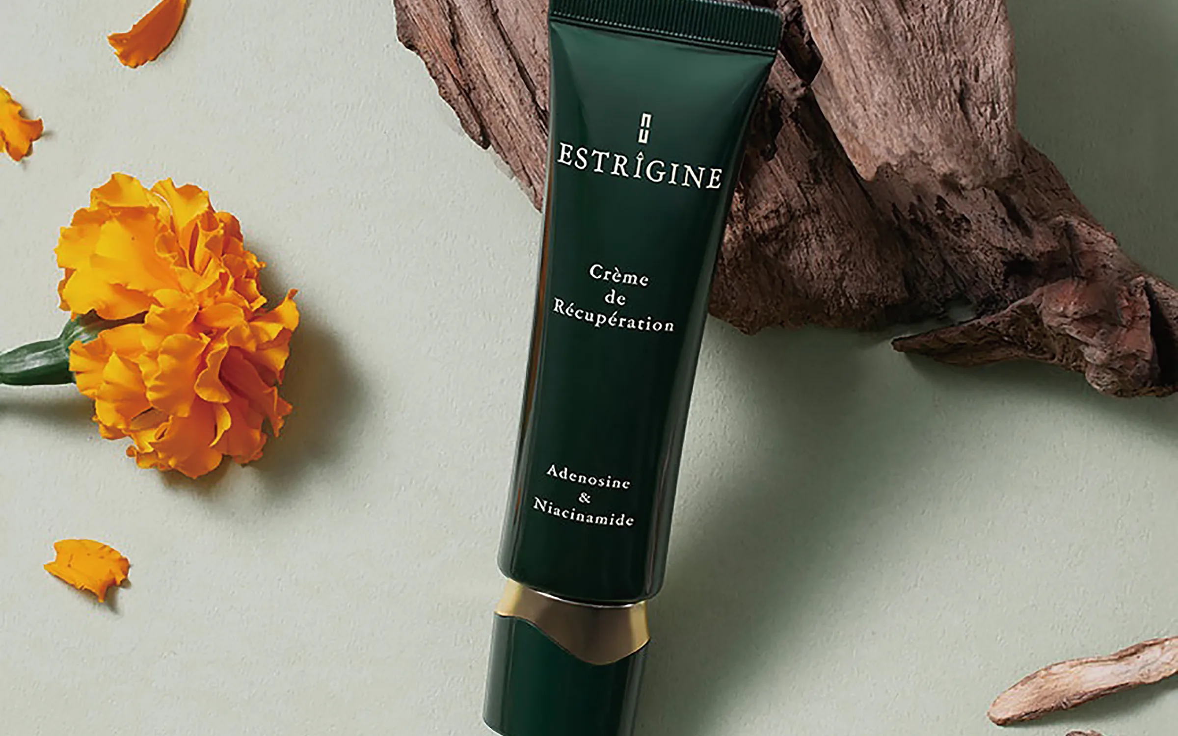 ESTRIGINE Recovery Cream zwischen botanischen Materialien